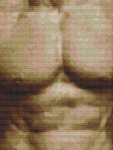 (image for) Ripped